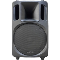 اسپیکر | باند اکتیو JTR JW600A